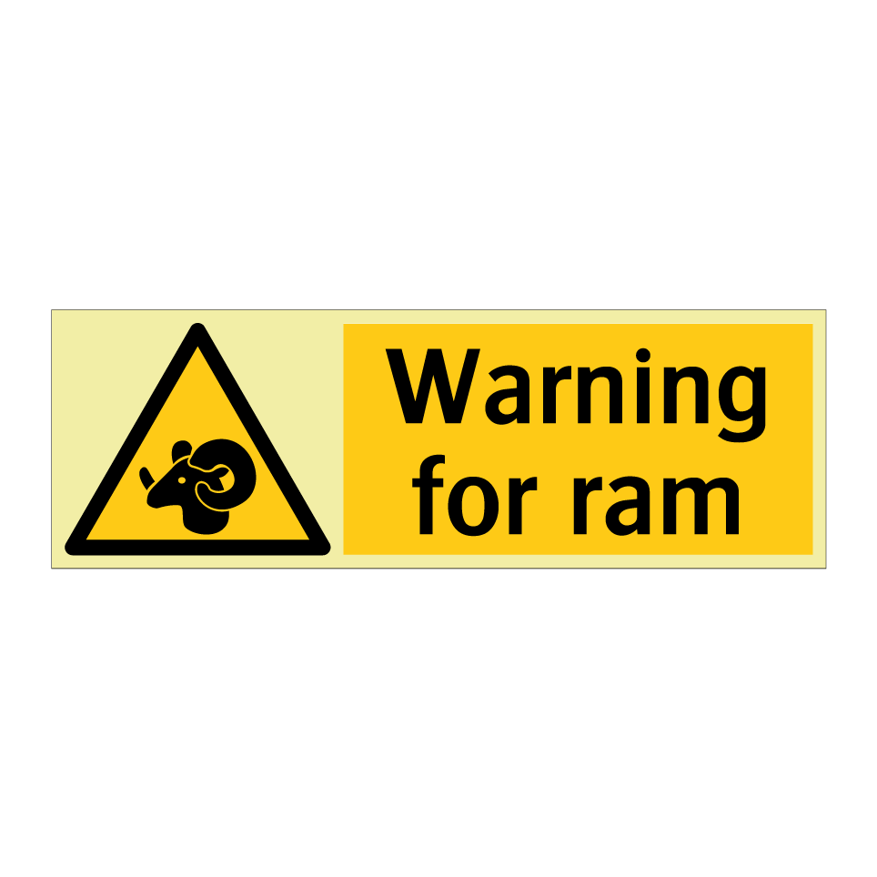 Warning for ram