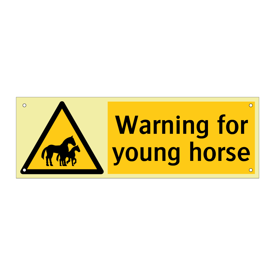 Warning for young horse