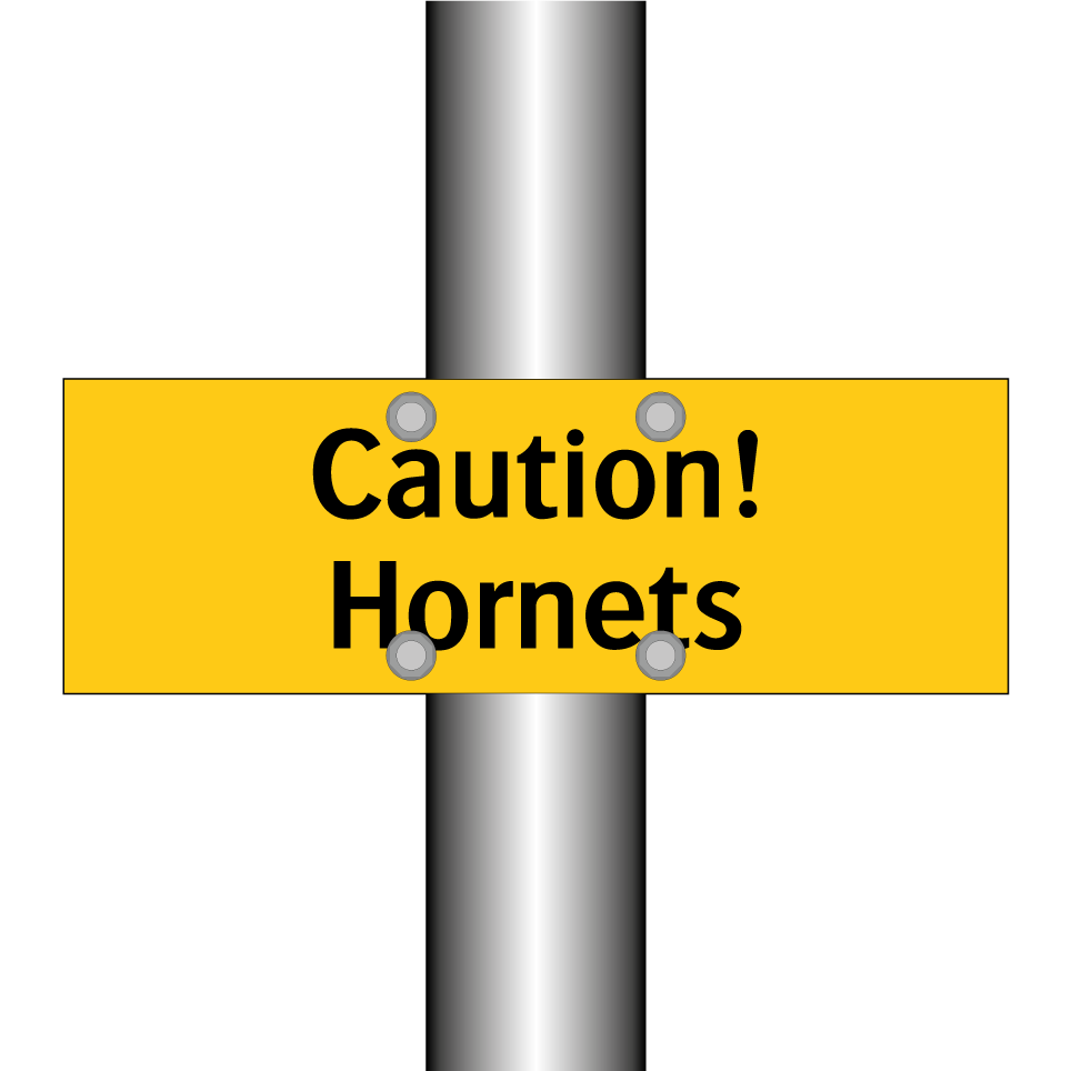 Caution! Hornets