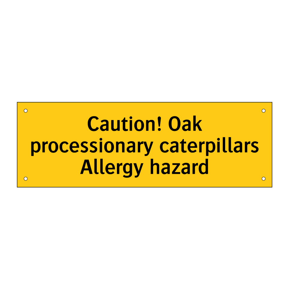 Caution! Oak processionary caterpillars Allergy hazard