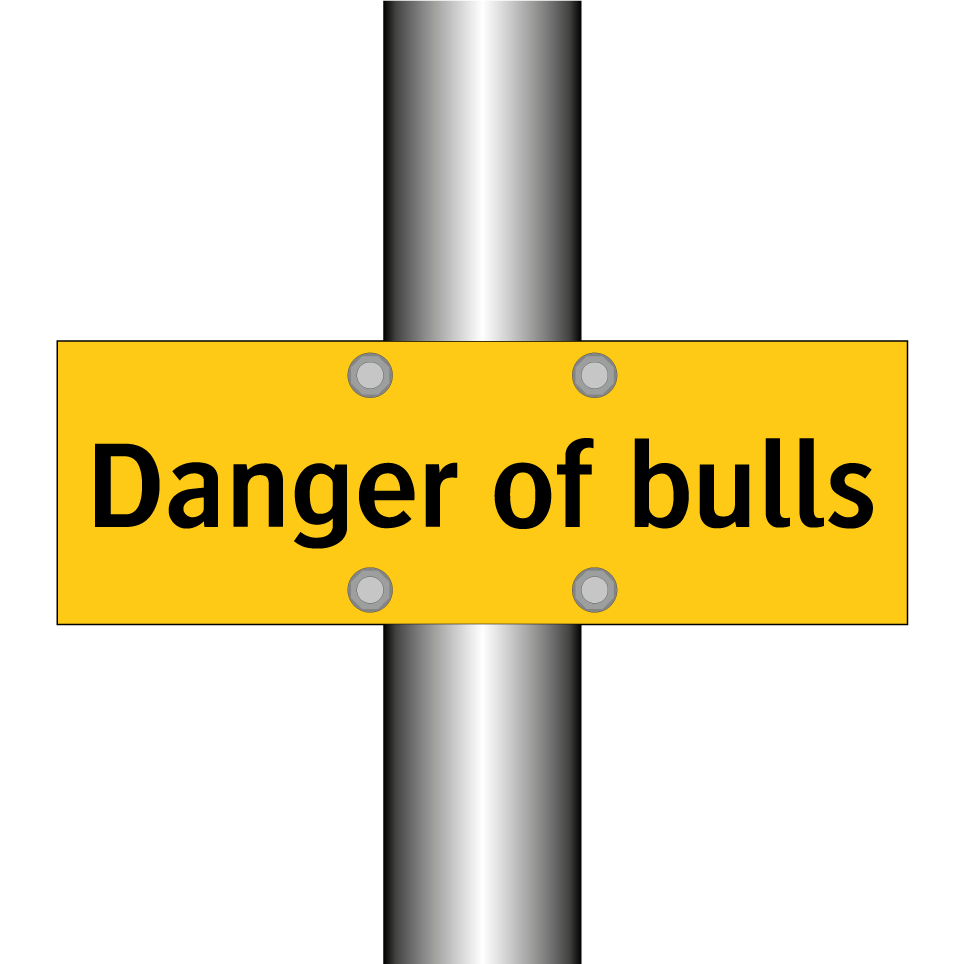 Danger of bulls