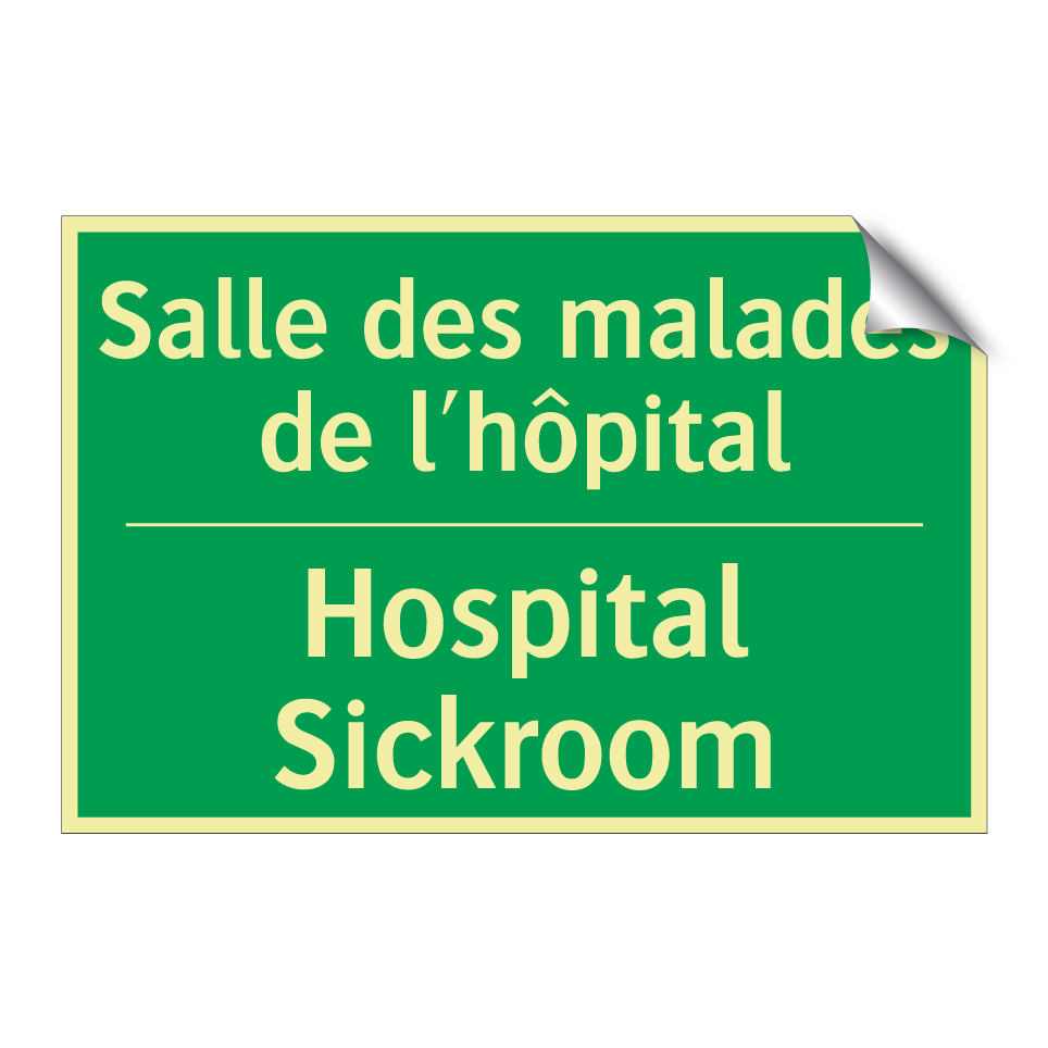 Salle des malades de l'hôpital - Hospital Sickroom