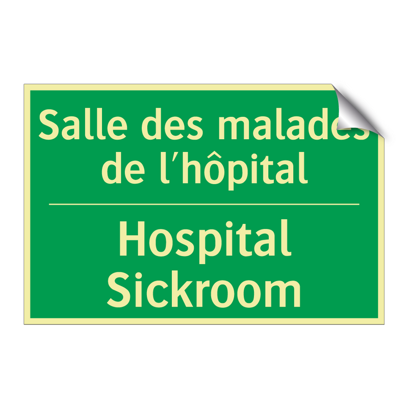 Salle des malades de l'hôpital - Hospital Sickroom