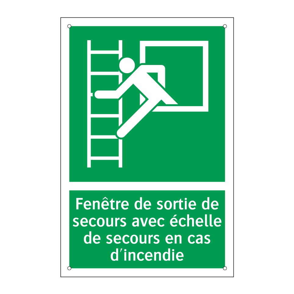 Fenêtre de sortie de secours avec échelle de secours en cas d'incendie