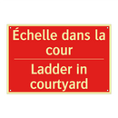 Échelle dans la cour - Ladder in courtyard