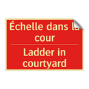 Échelle dans la cour - Ladder in courtyard