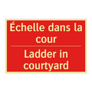 Échelle dans la cour - Ladder in courtyard