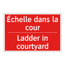 Échelle dans la cour - Ladder in courtyard