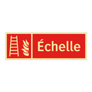 Échelle