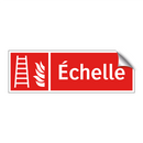 Échelle