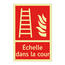 Échelle dans la cour