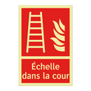 Échelle dans la cour