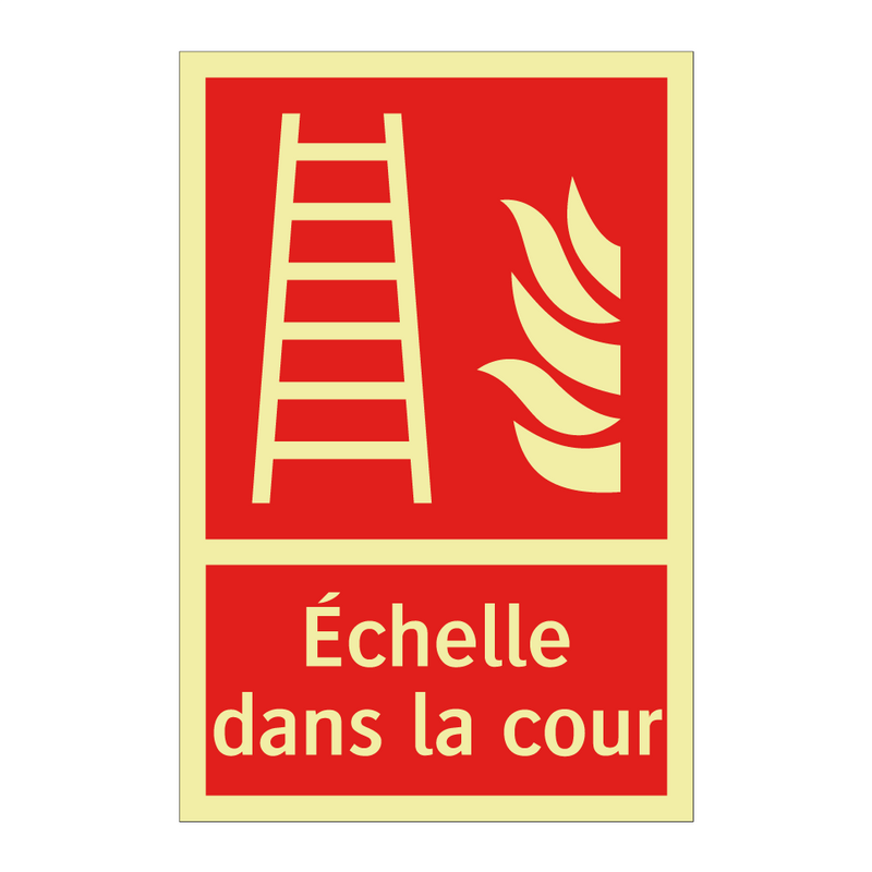 Échelle dans la cour