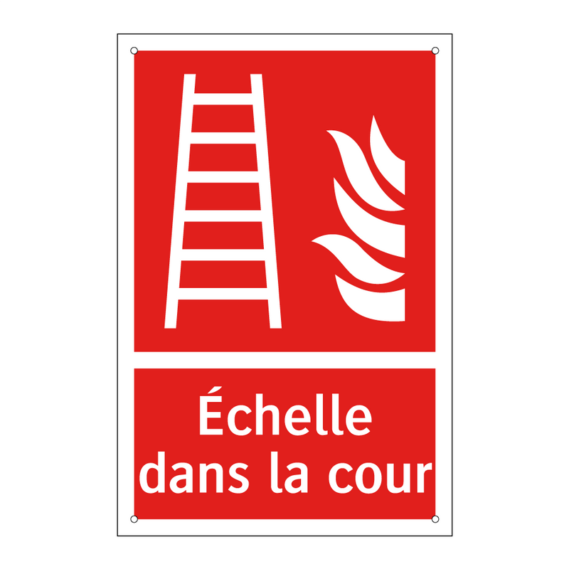 Échelle dans la cour