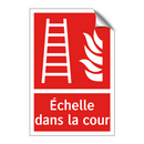 Échelle dans la cour