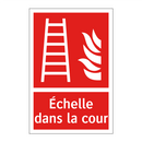Échelle dans la cour