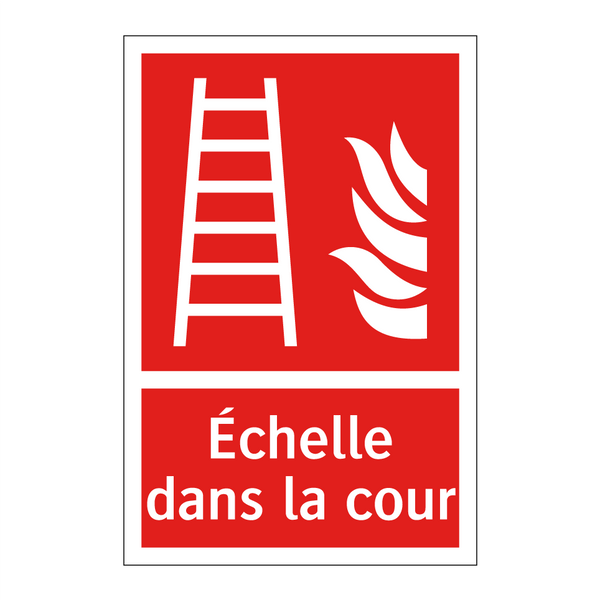 Échelle dans la cour