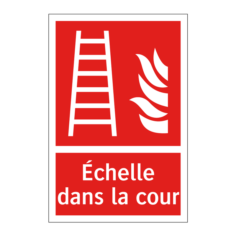 Échelle dans la cour
