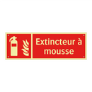 Extincteur à mousse