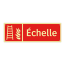 Échelle