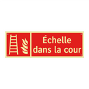 Échelle dans la cour