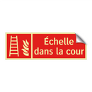Échelle dans la cour