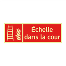 Échelle dans la cour