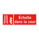 Échelle dans la cour
