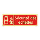 Sécurité des échelles
