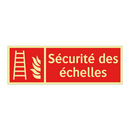 Sécurité des échelles