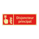 Disjoncteur principal