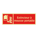Extincteur à mousse portable