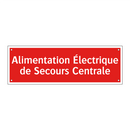 Alimentation Électrique de Secours Centrale