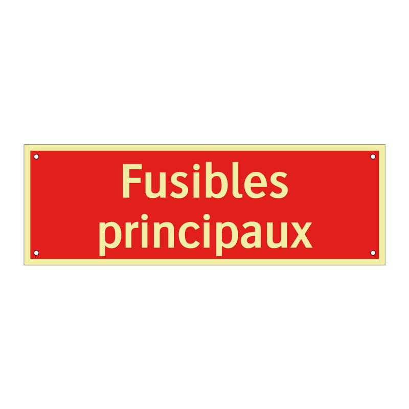 Fusibles principaux