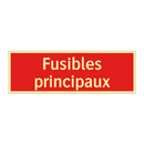 Fusibles principaux