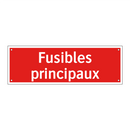 Fusibles principaux