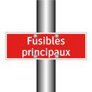 Fusibles principaux