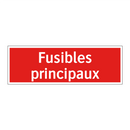 Fusibles principaux
