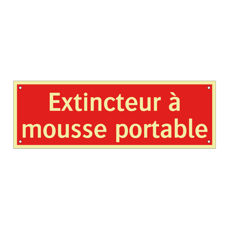 Extincteur à mousse portable