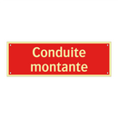 Conduite montante