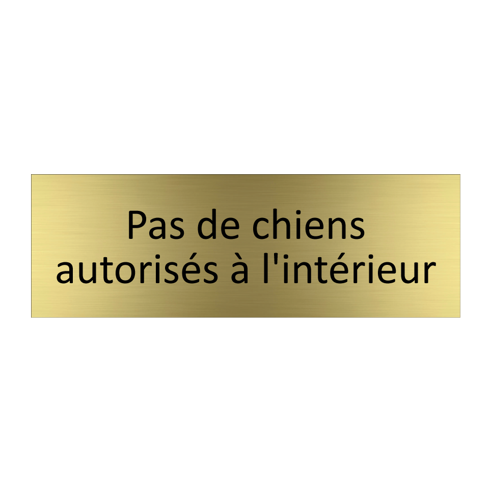 Pas de chiens autorisés à l'intérieur