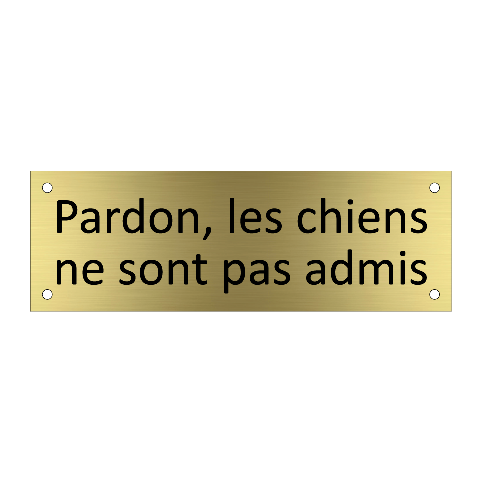 Pardon, les chiens ne sont pas admis