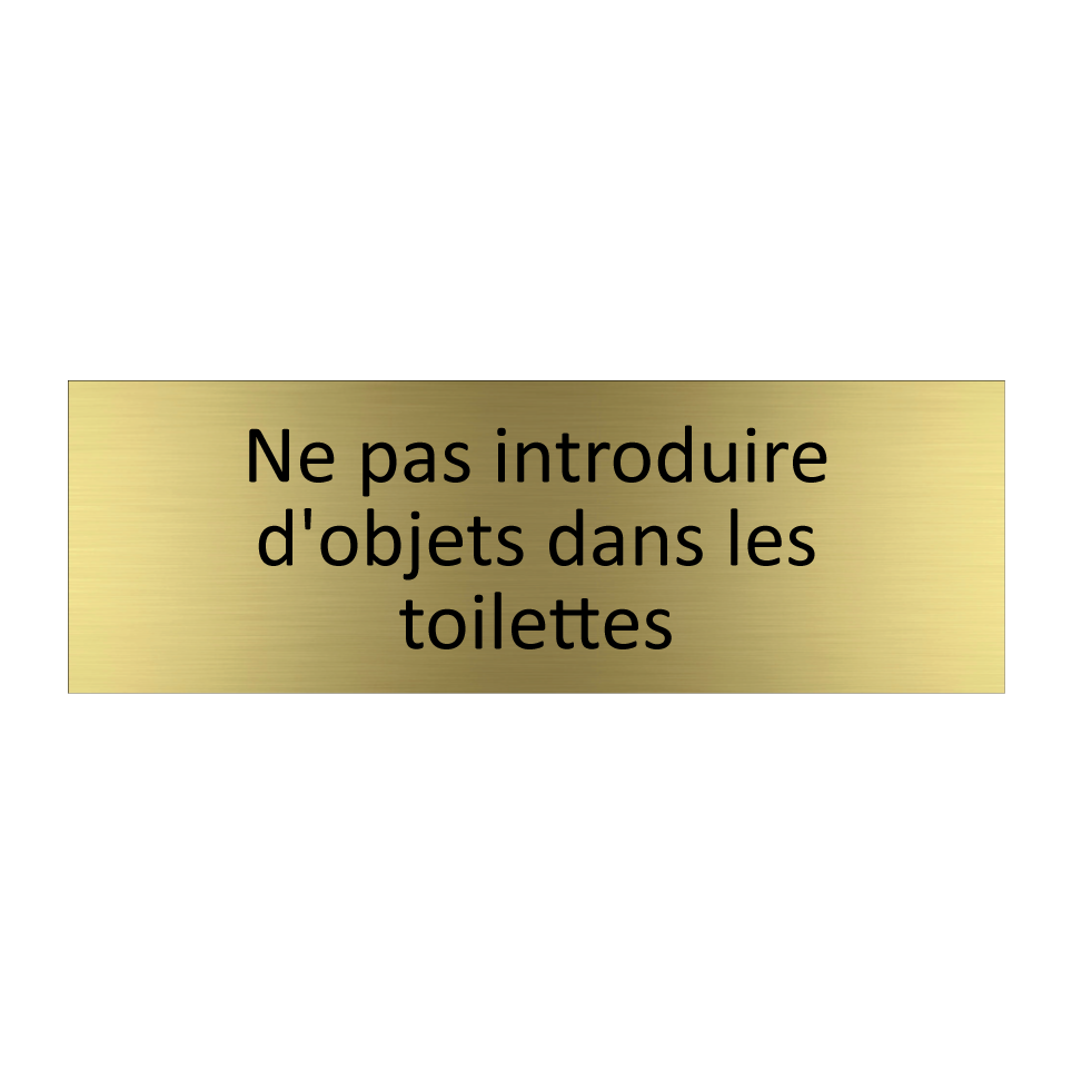 Ne pas introduire d'objets dans les toilettes