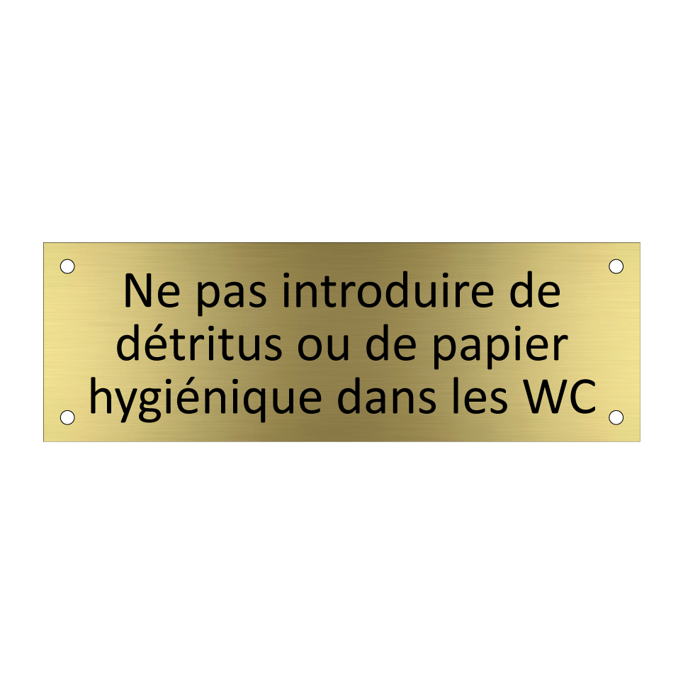Ne pas introduire de détritus ou de papier hygiénique dans les WC