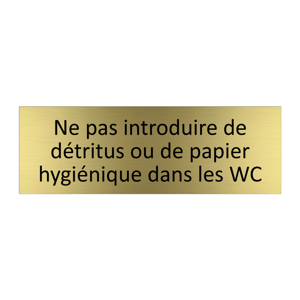 Ne pas introduire de détritus ou de papier hygiénique dans les WC