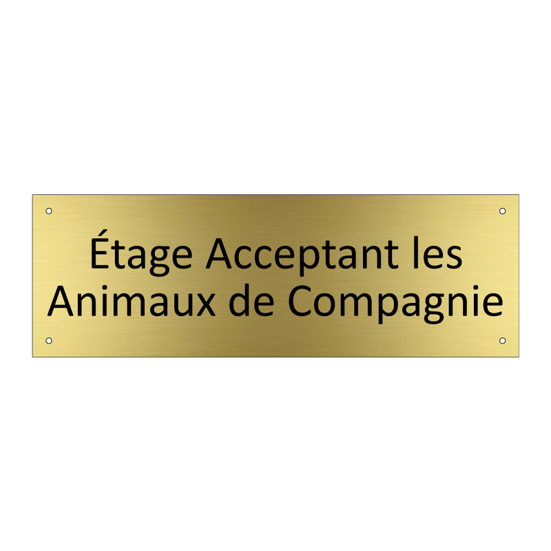 Étage Acceptant les Animaux de Compagnie
