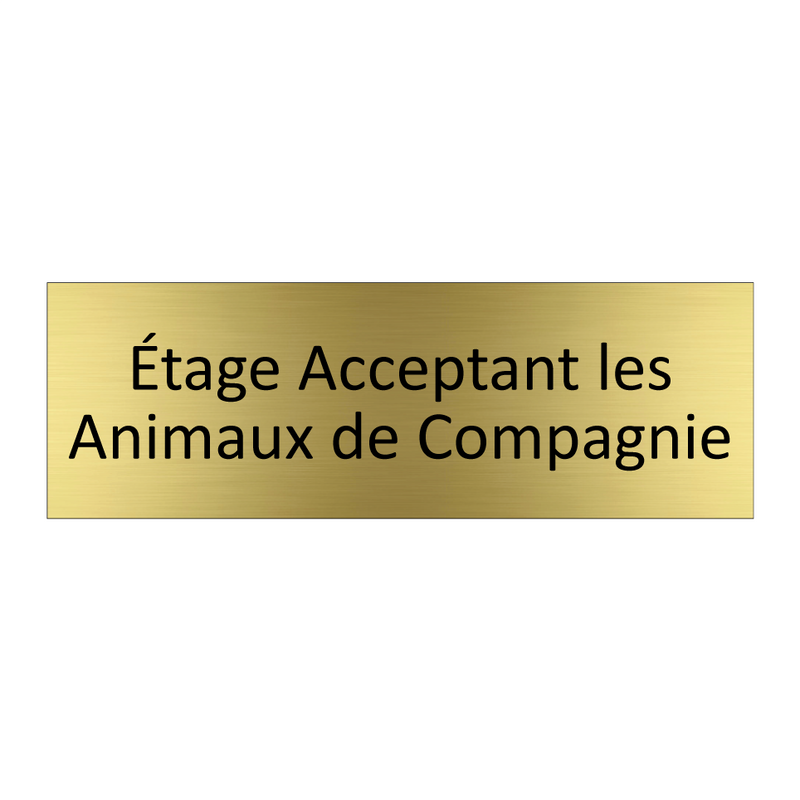 Étage Acceptant les Animaux de Compagnie