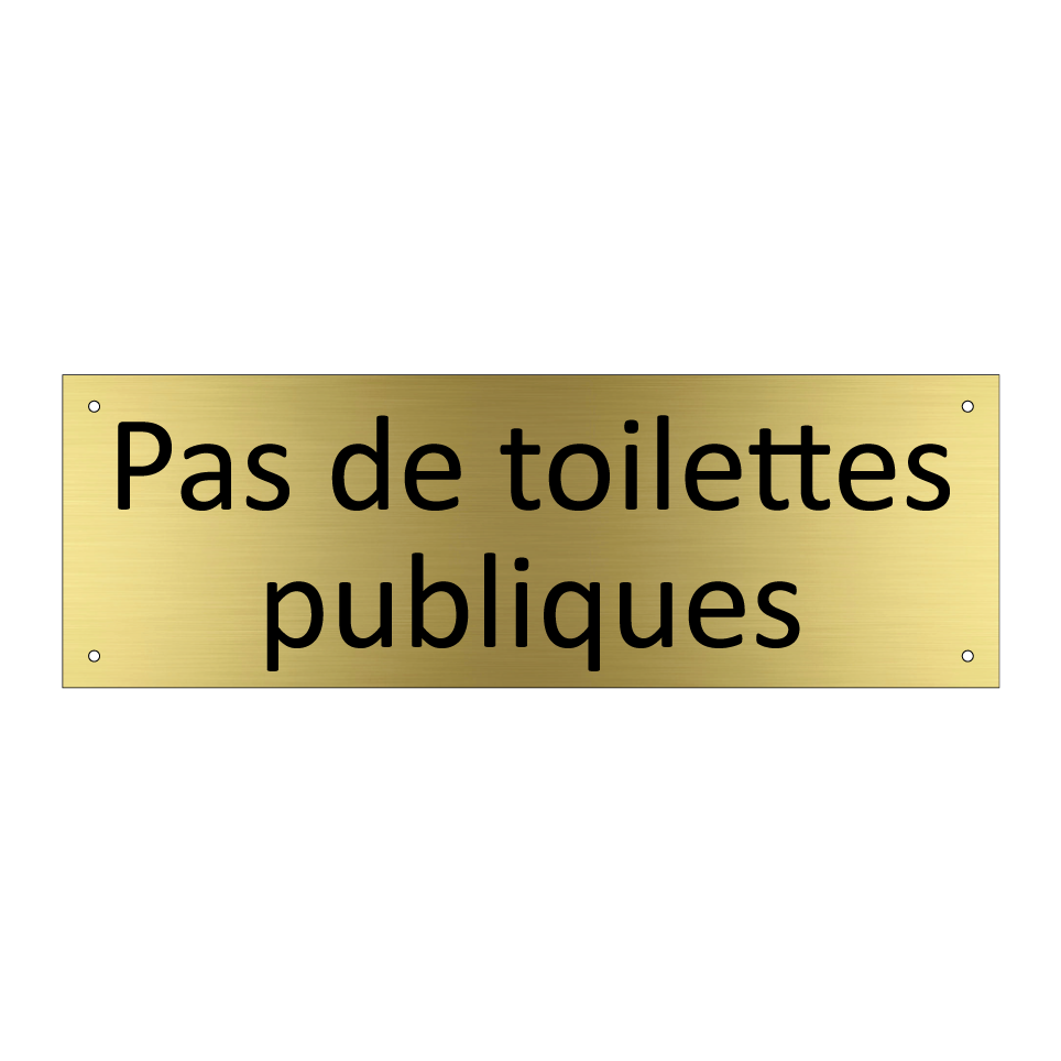 Pas de toilettes publiques