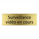 Surveillance vidéo en cours