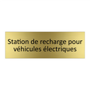 Station de recharge pour véhicules électriques